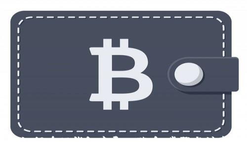 
详解如何在TP钱包中导入猪币：步骤与注意事项