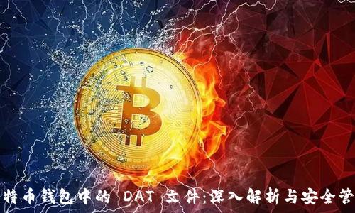   
比特币钱包中的 DAT 文件：深入解析与安全管理