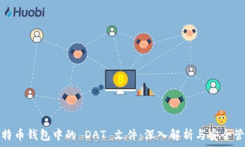   
比特币钱包中的 DAT 文件：深入解析与安全管理