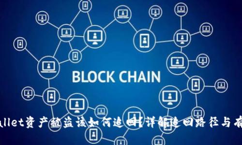 : TPWallet资产被盗该如何追回？详解追回路径与有效措施