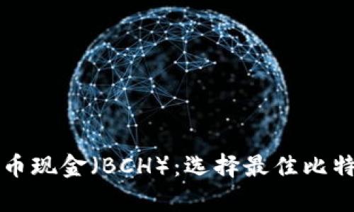 如何安全存储比特币现金（BCH）：选择最佳比特币钱包的全面指南
