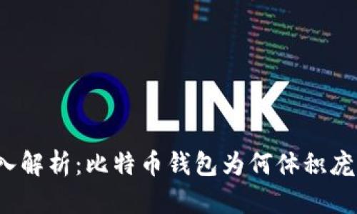 深入解析：比特币钱包为何体积庞大？